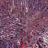 'CATHARSIS' Abstract Painting & Art Prints
